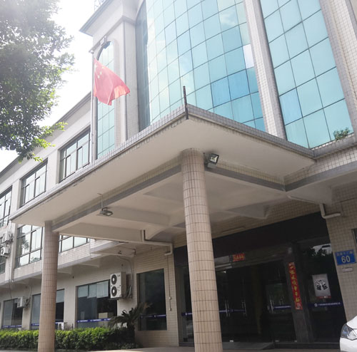 广州蜜桃视频一区二区公司